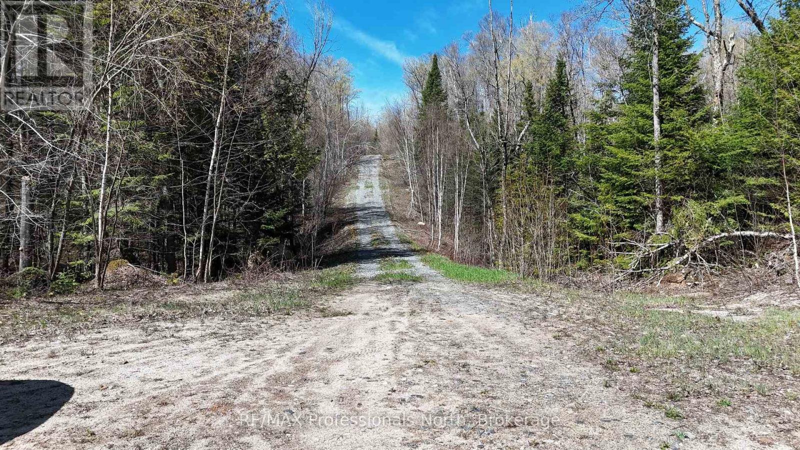 1199 Cedar Lake Road, Highlands East, Ontario  K0L 3C0 - Photo 2 - X13138876