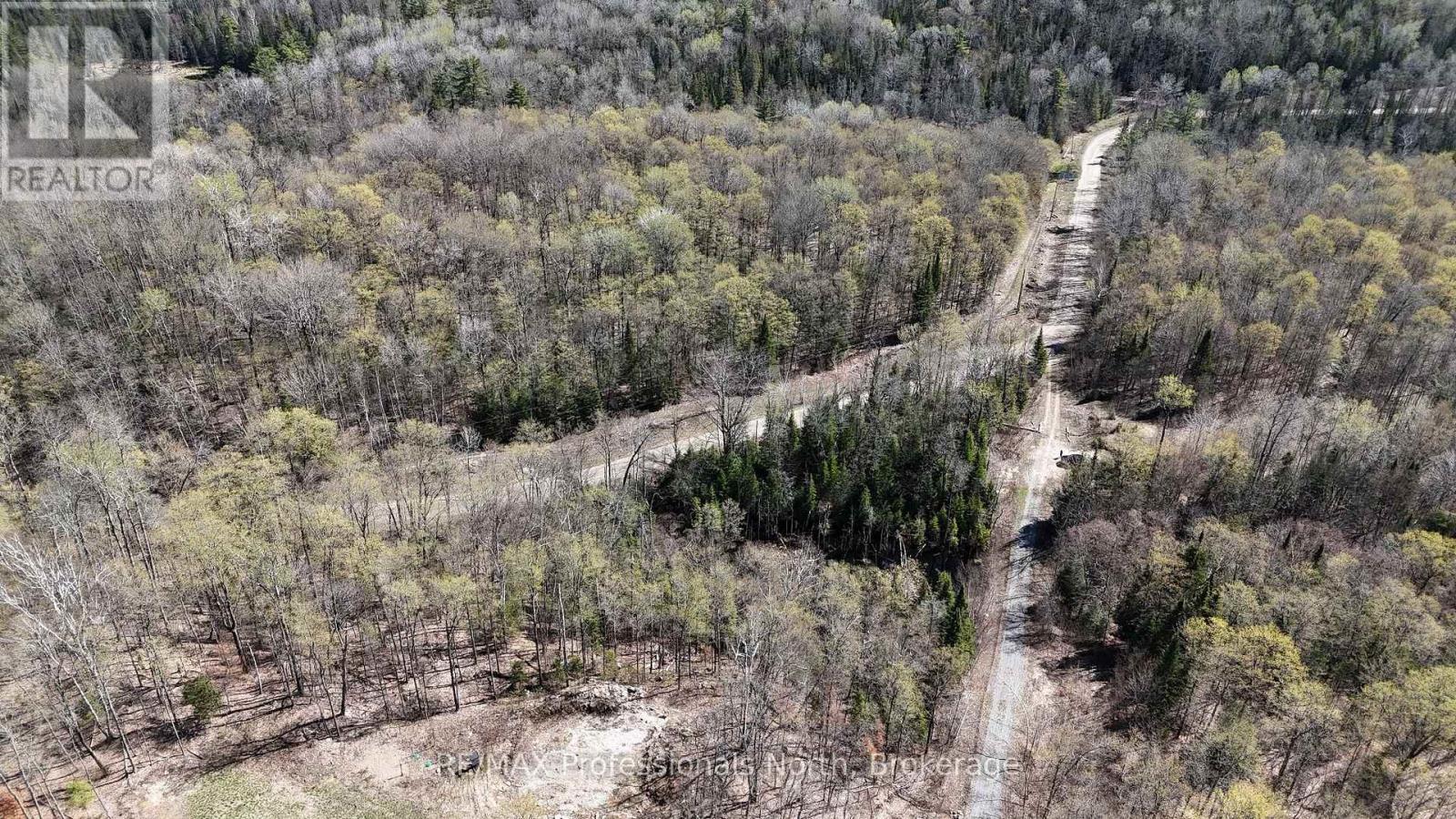 1199 Cedar Lake Road, Highlands East, Ontario  K0L 3C0 - Photo 3 - X13138876