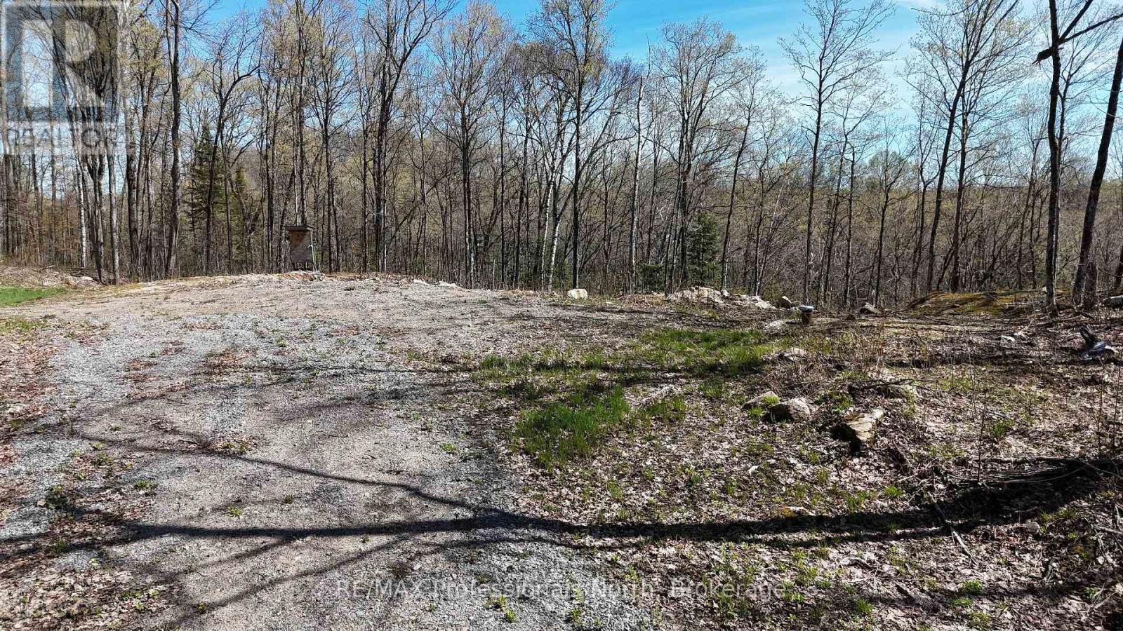1199 Cedar Lake Road, Highlands East, Ontario  K0L 3C0 - Photo 8 - X13138876
