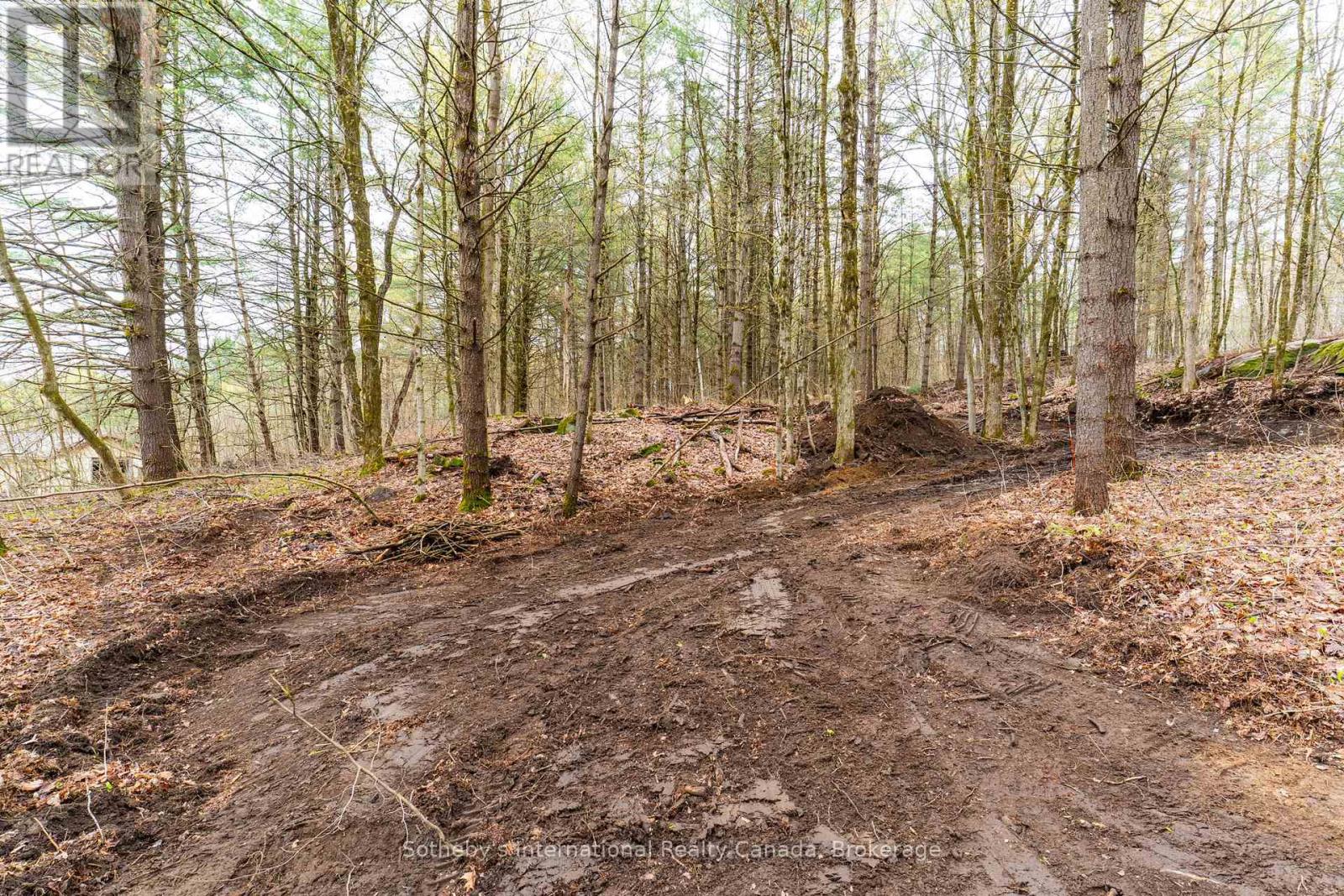 0 White's Road, Muskoka Lakes, Ontario  P0B 1J0 - Photo 18 - X13138894