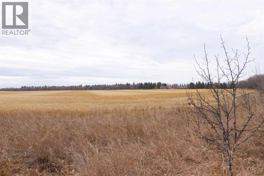 6510 Hwy 53 Highway, Ponoka, Alberta  T4J 1K3 - Photo 23 - A2272356