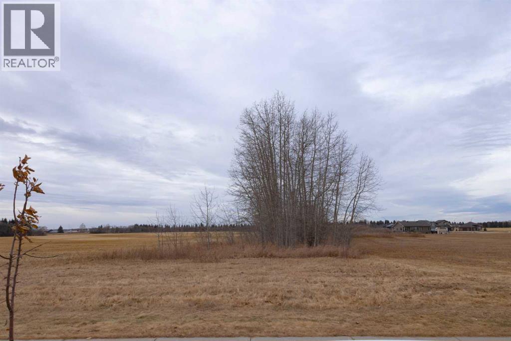 6510 Hwy 53 Highway, Ponoka, Alberta  T4J 1K3 - Photo 31 - A2272356