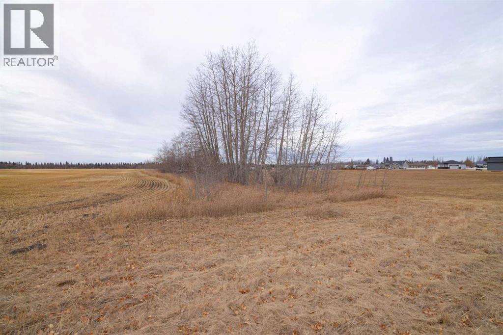6510 Hwy 53 Highway, Ponoka, Alberta  T4J 1K3 - Photo 33 - A2272356