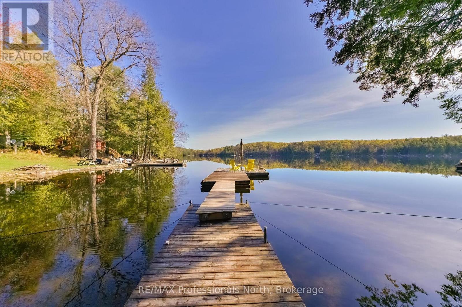 1392 Tennyson Road, Minden Hills, Ontario  K0M 2K0 - Photo 8 - X13138944