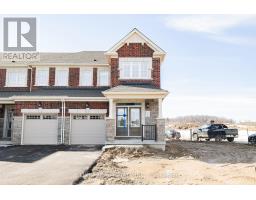 (LOWER LEVEL) - 151 STAMSON STREET, Kitchener, Ontario