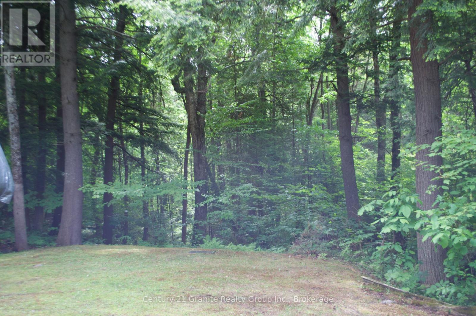 Lot 10 Loon Lake Road S, Dysart Et Al, Ontario  K0M 1S0 - Photo 18 - X13139004