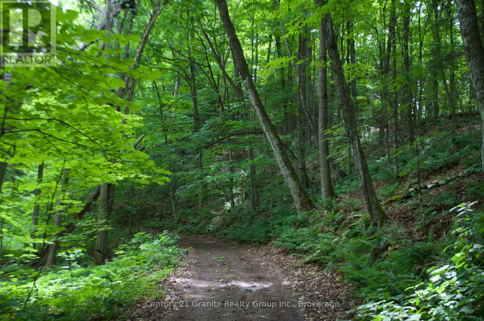 Lot 10 Loon Lake Road S, Dysart Et Al, Ontario  K0M 1S0 - Photo 25 - X13139004