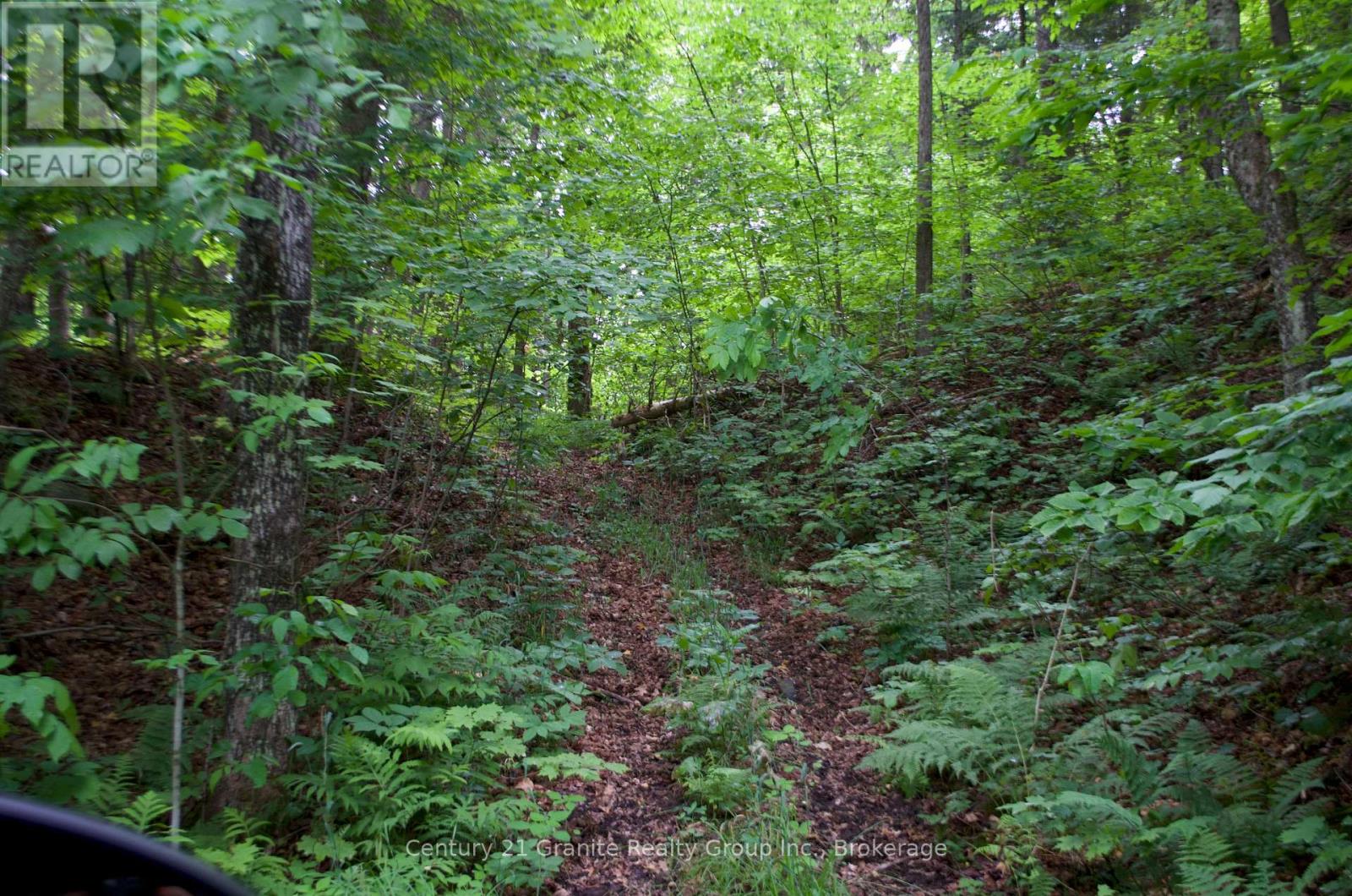 Lot 10 Loon Lake Road S, Dysart Et Al, Ontario  K0M 1S0 - Photo 27 - X13139004