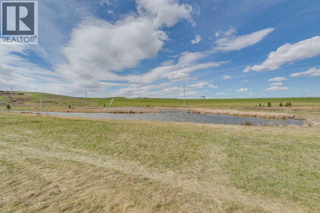 247 Chaparral Valley Way, Calgary, Alberta  T2X 0X3 - Photo 40 - A2308054