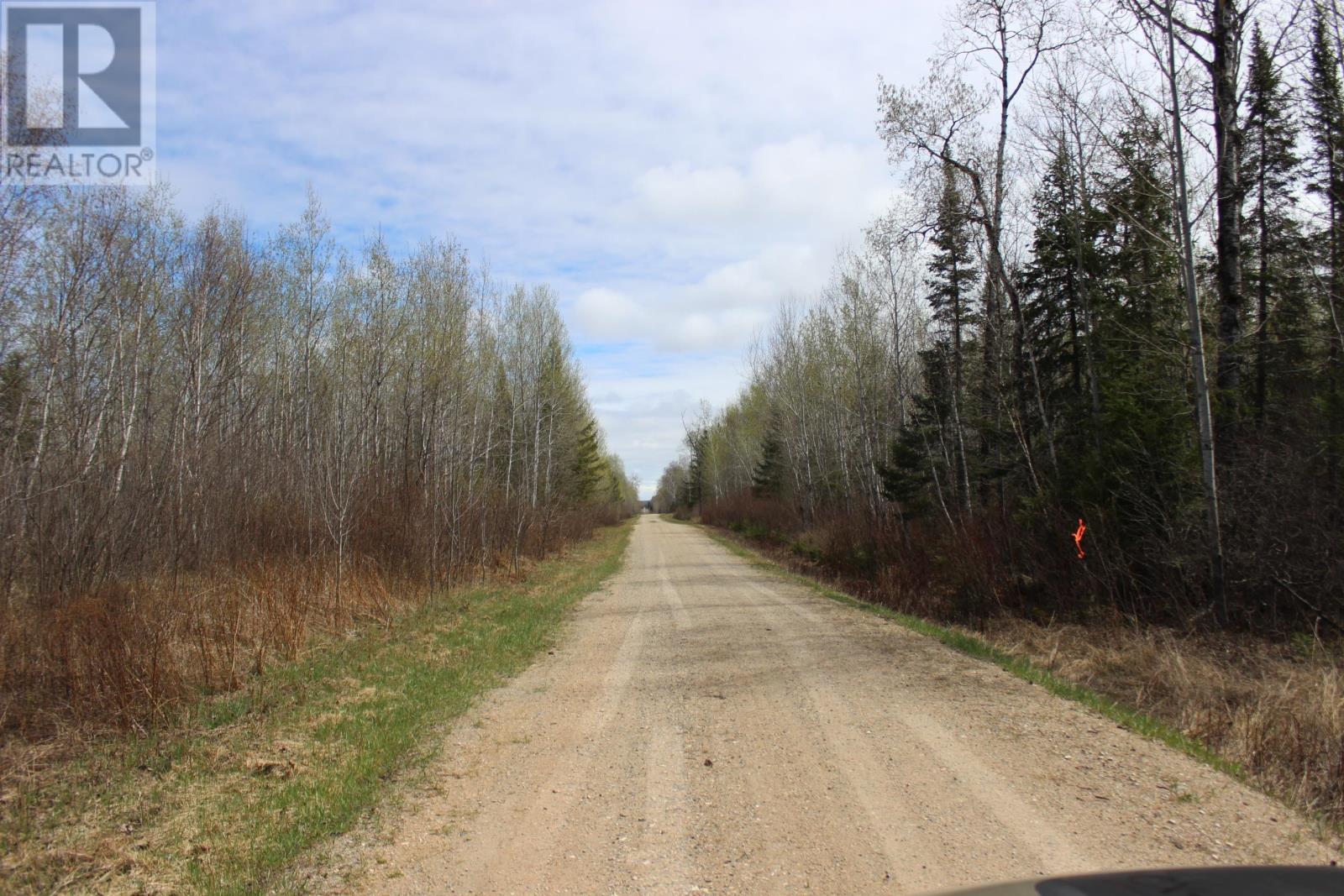 Pcl 14221 Kreger Rd, Rainy River, Ontario  P0W 1L0 - Photo 20 - TB2601065