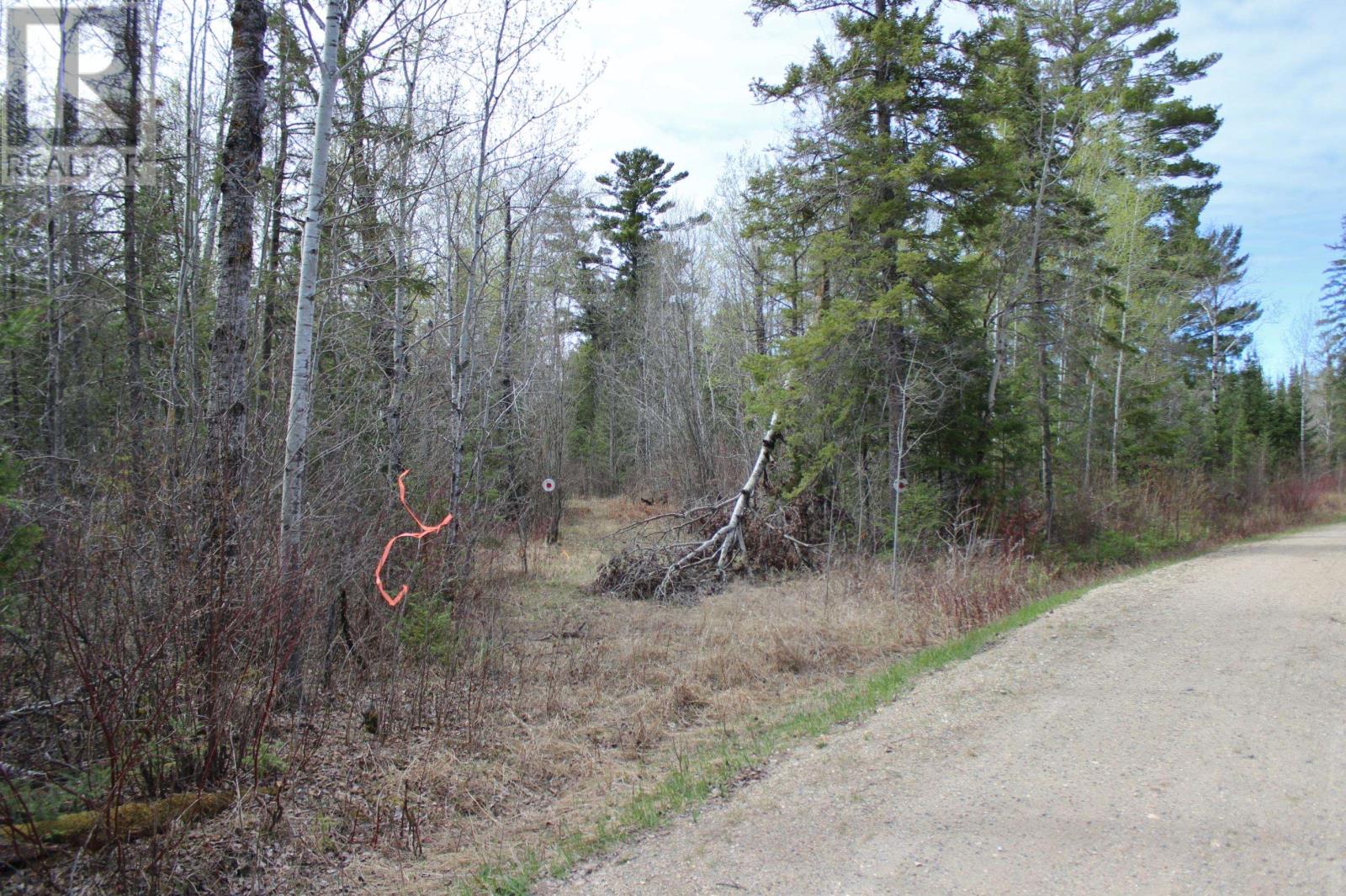 Pcl 14221 Kreger Rd, Rainy River, Ontario  P0W 1L0 - Photo 13 - TB2601065