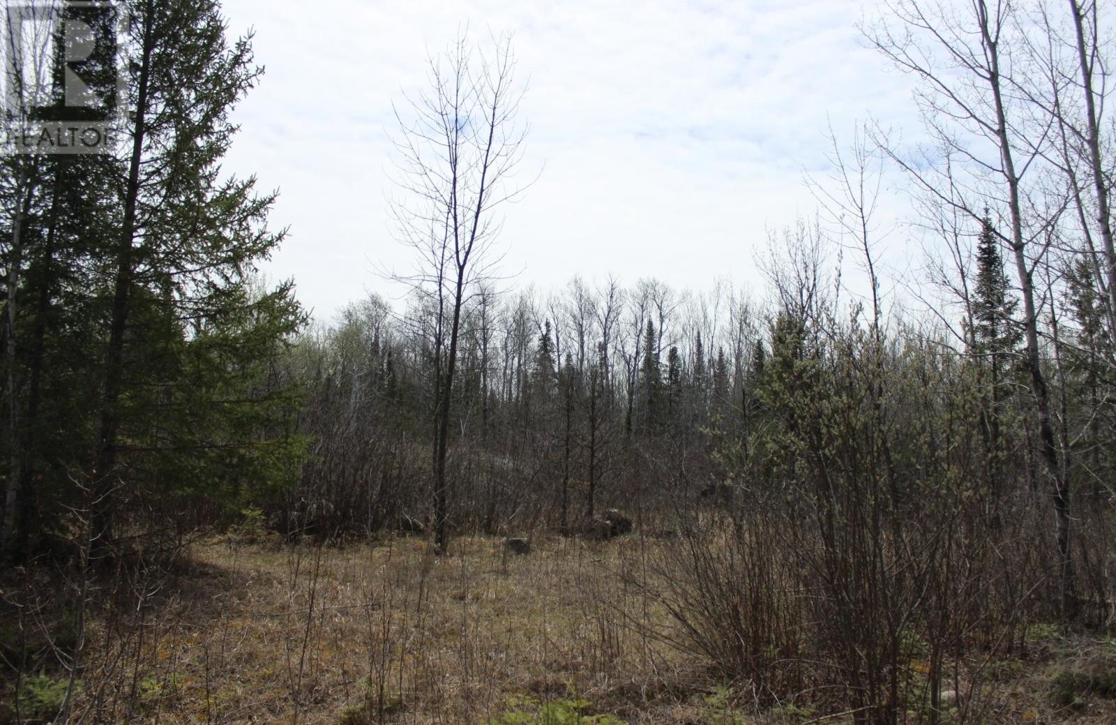 Pcl 14221 Kreger Rd, Rainy River, Ontario  P0W 1L0 - Photo 18 - TB2601065
