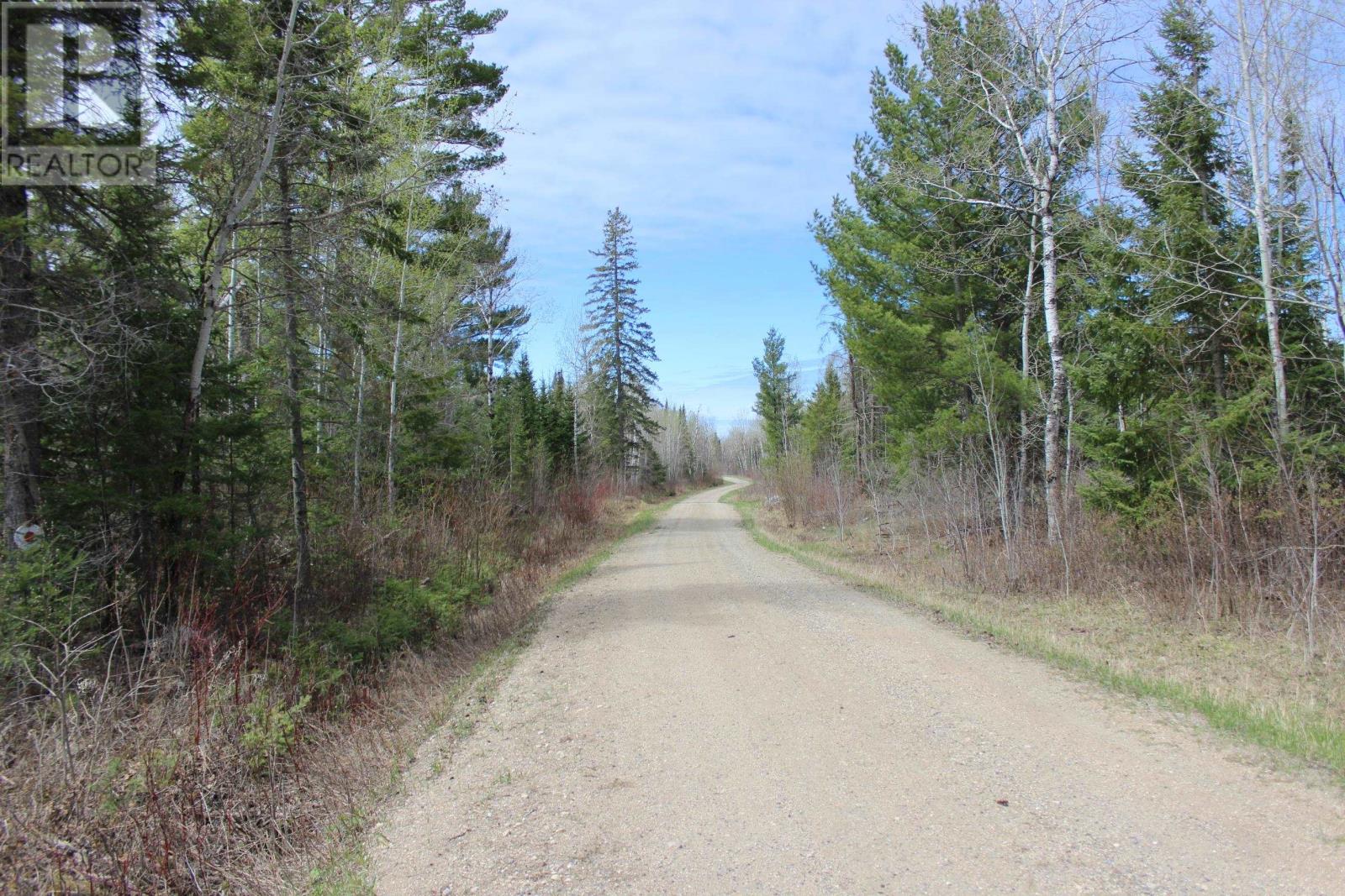 Pcl 14221 Kreger Rd, Rainy River, Ontario  P0W 1L0 - Photo 12 - TB2601065