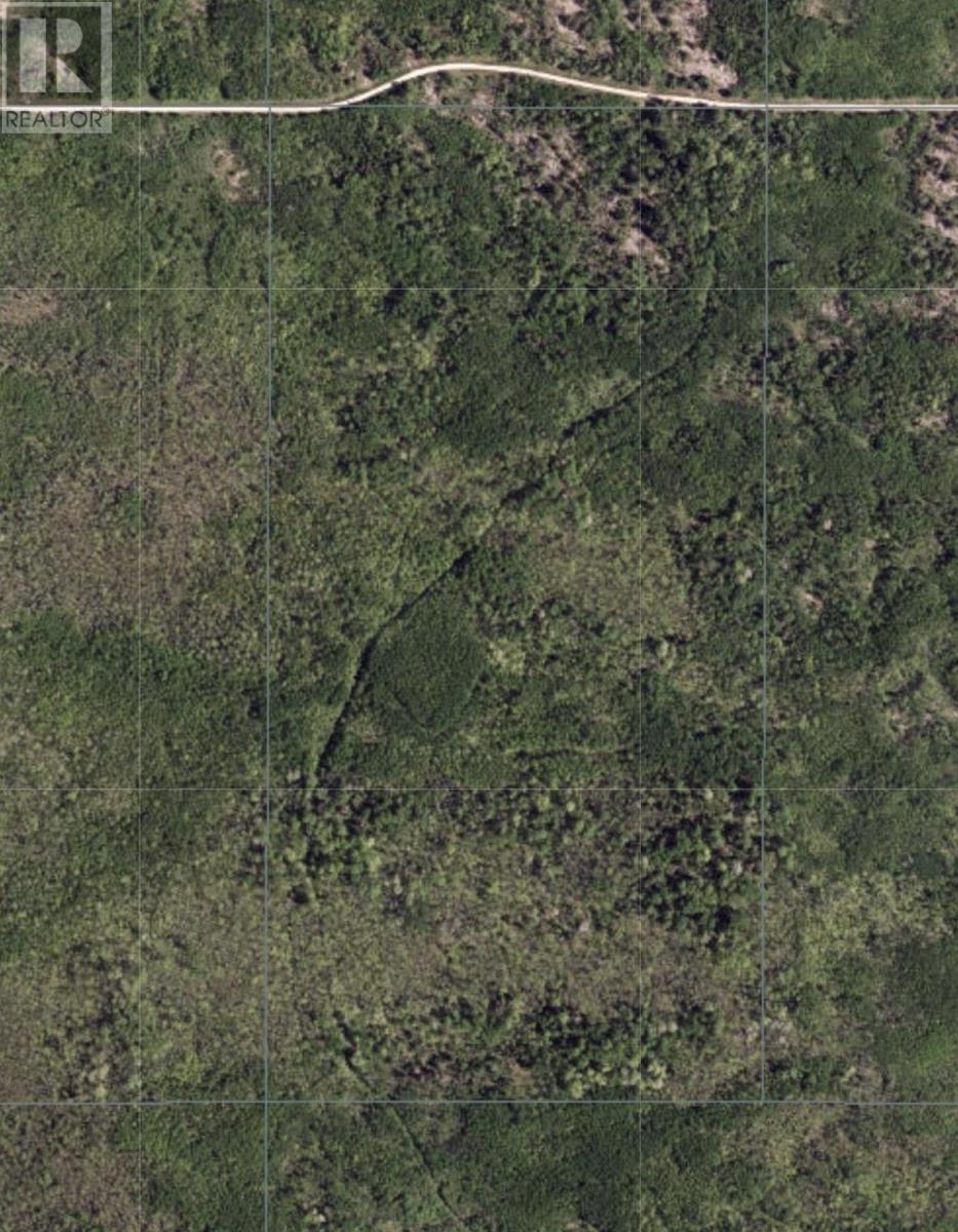 Pcl 14221 Kreger Rd, Rainy River, Ontario  P0W 1L0 - Photo 6 - TB2601065