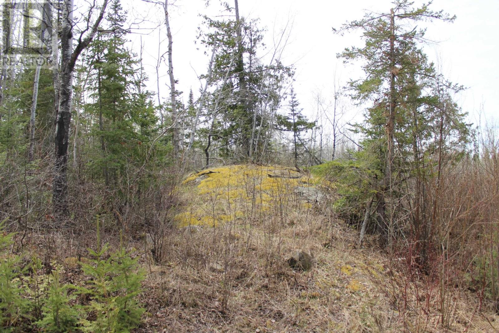 Pcl 14221 Kreger Rd, Rainy River, Ontario  P0W 1L0 - Photo 16 - TB2601065