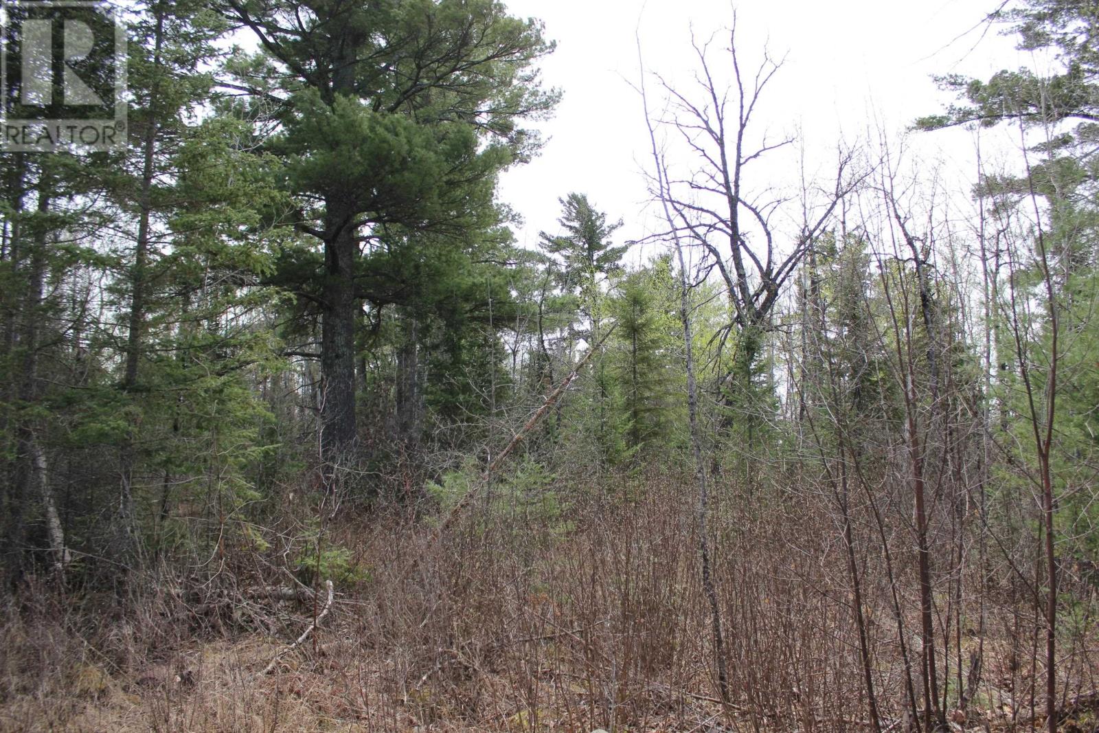 Pcl 14221 Kreger Rd, Rainy River, Ontario  P0W 1L0 - Photo 14 - TB2601065