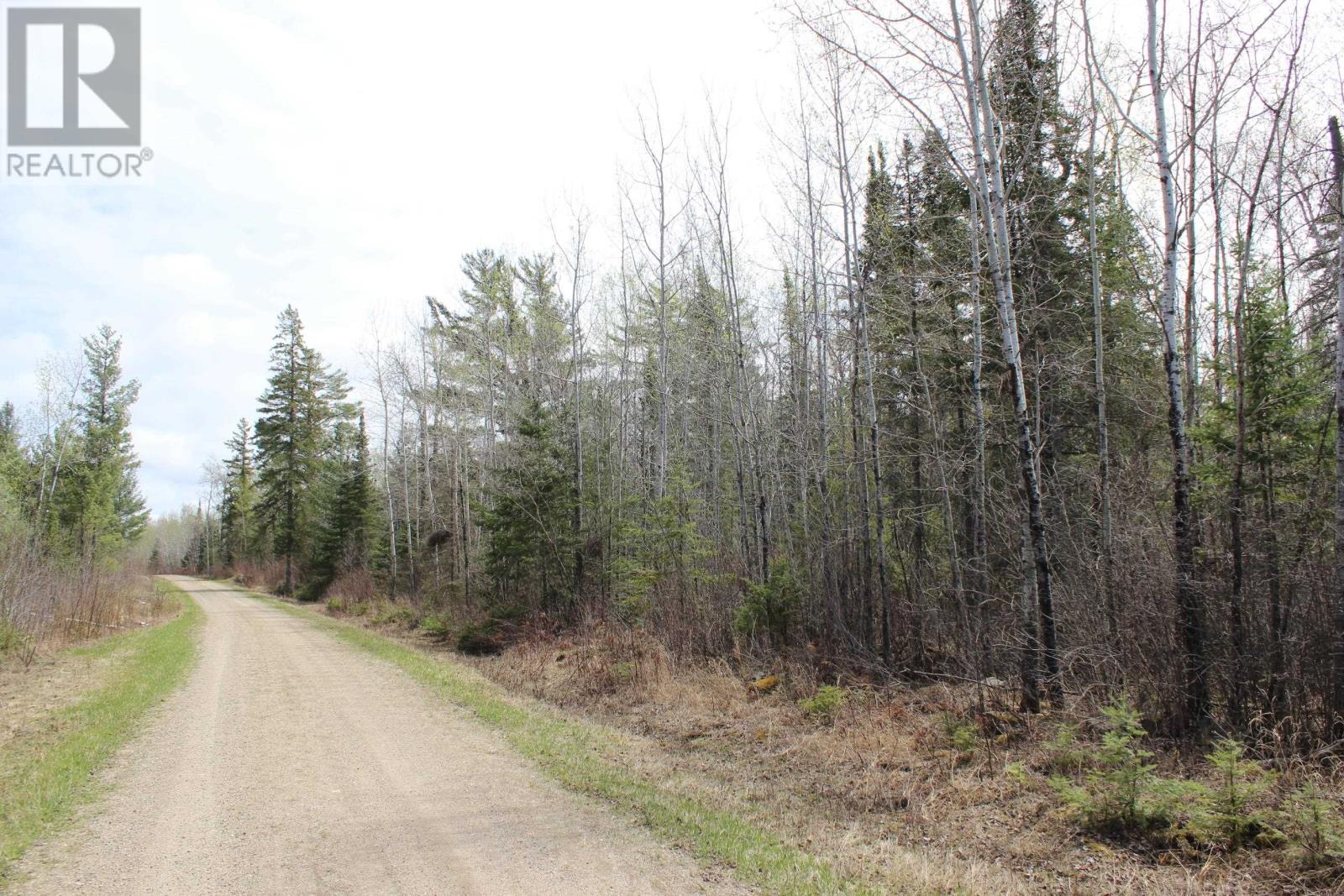 Pcl 14221 Kreger Rd, Rainy River, Ontario  P0W 1L0 - Photo 19 - TB2601065