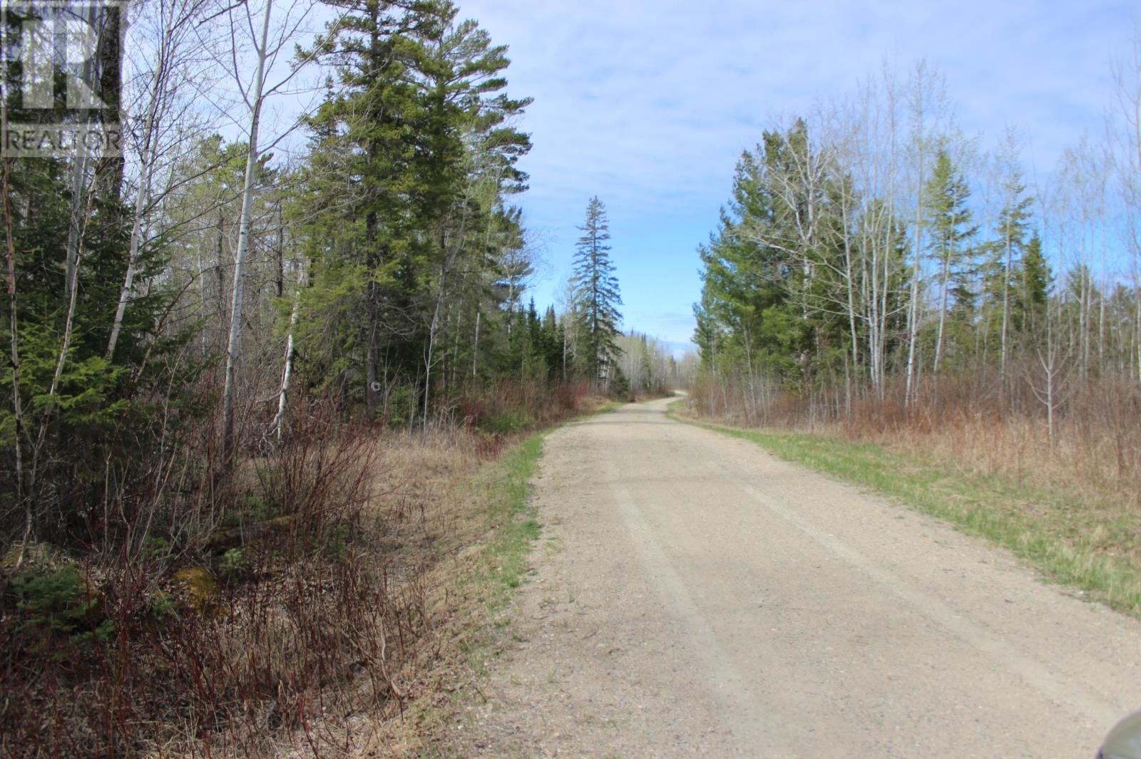 Pcl 14221 Kreger Rd, Rainy River, Ontario  P0W 1L0 - Photo 11 - TB2601065