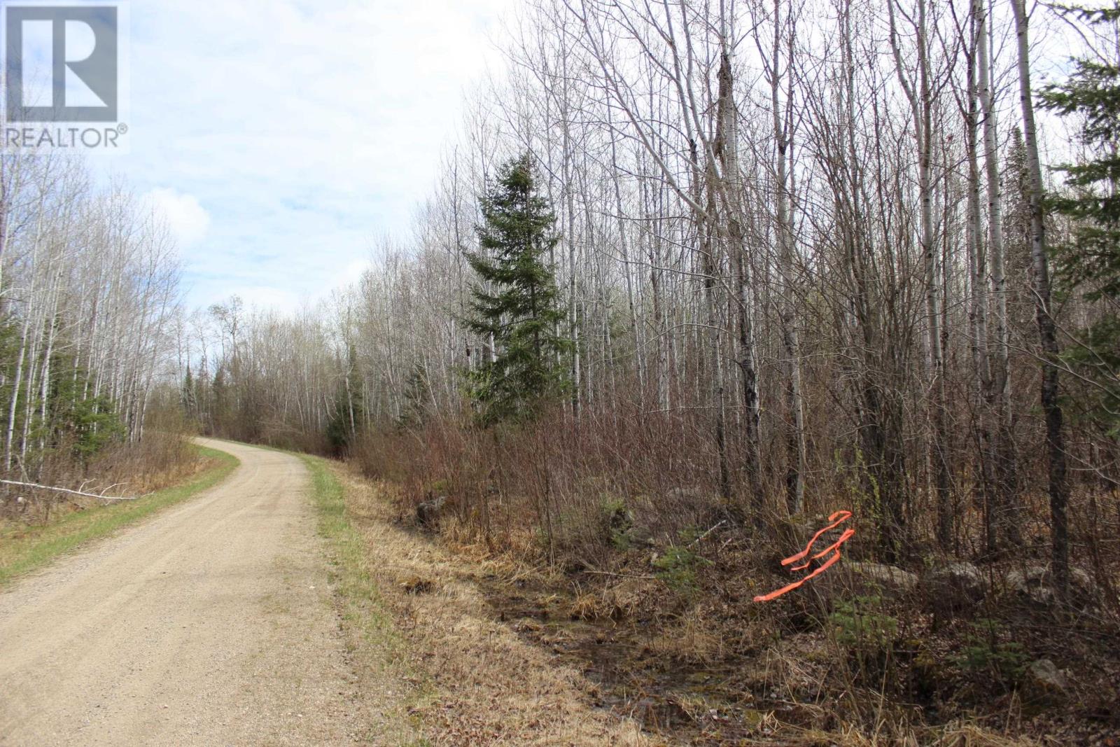 Pcl 14221 Kreger Rd, Rainy River, Ontario  P0W 1L0 - Photo 17 - TB2601065