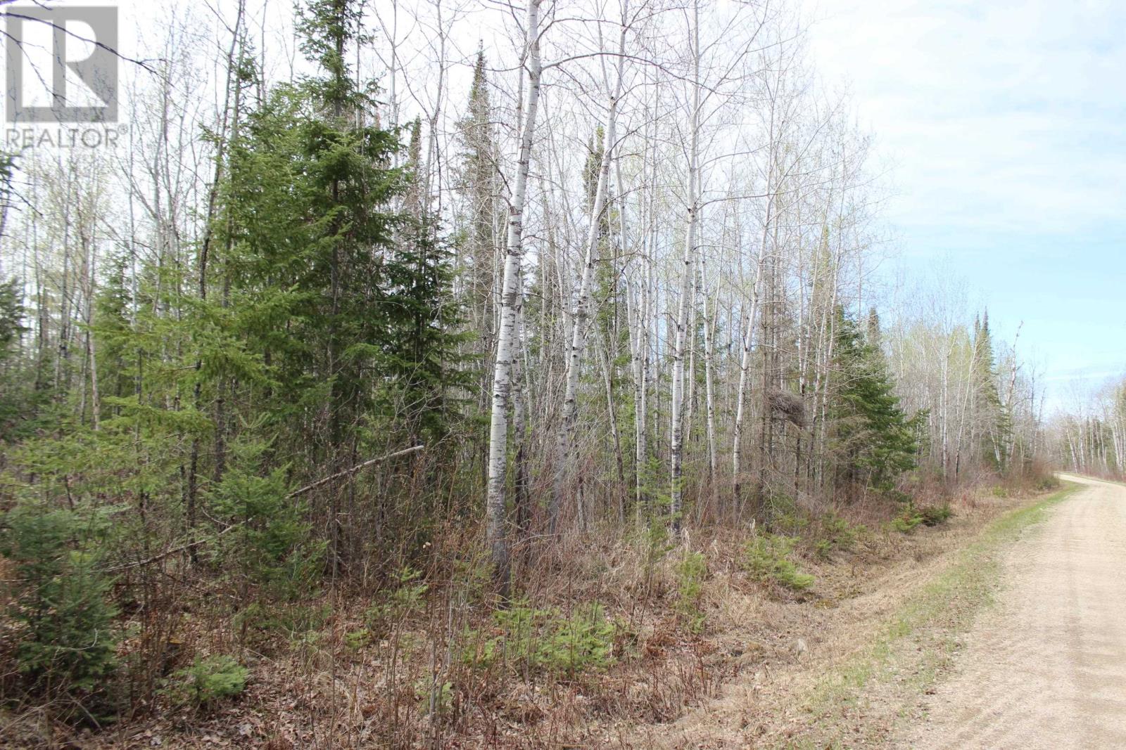 Pcl 14221 Kreger Rd, Rainy River, Ontario  P0W 1L0 - Photo 15 - TB2601065