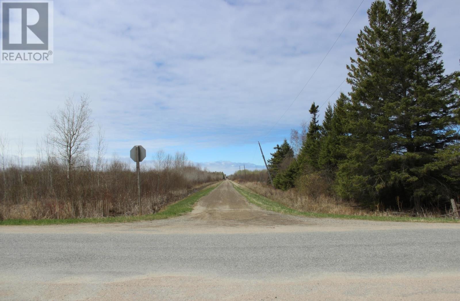Pcl 14221 Kreger Rd, Rainy River, Ontario  P0W 1L0 - Photo 10 - TB2601065