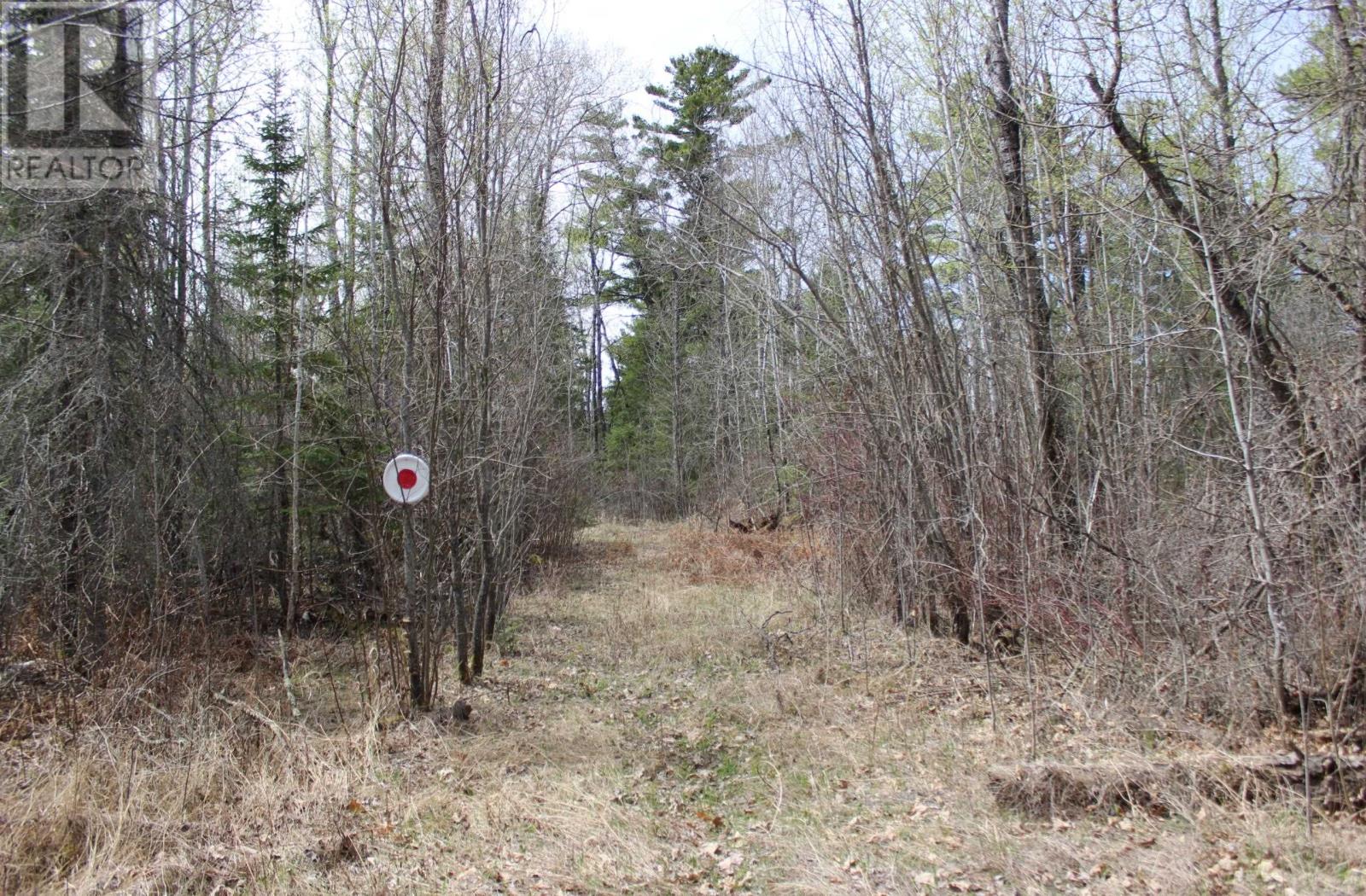 Pcl 14221 Kreger Rd, Rainy River, Ontario  P0W 1L0 - Photo 1 - TB2601065