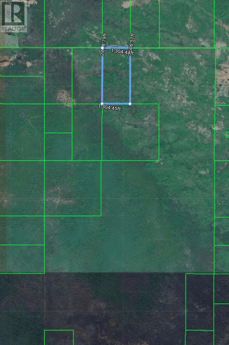 Pcl 14221 Kreger Rd, Rainy River, Ontario  P0W 1L0 - Photo 7 - TB2601065