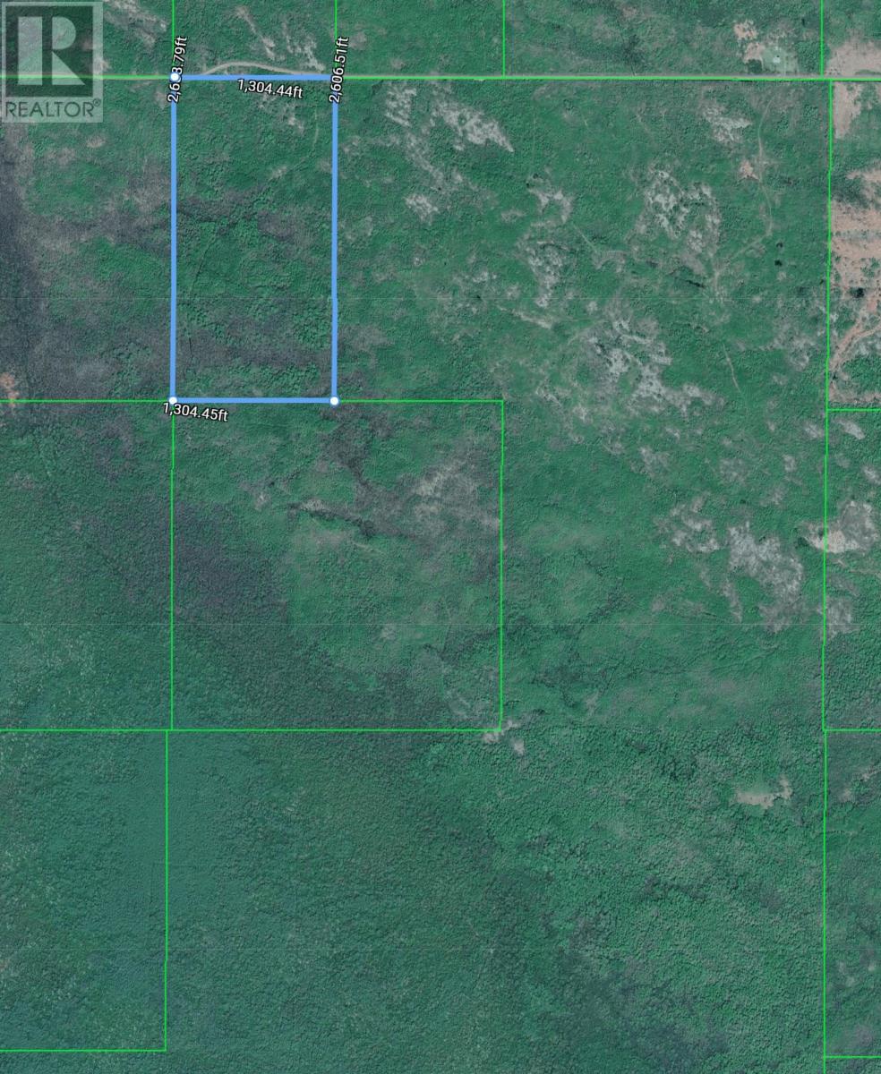 Pcl 14221 Kreger Rd, Rainy River, Ontario  P0W 1L0 - Photo 8 - TB2601065