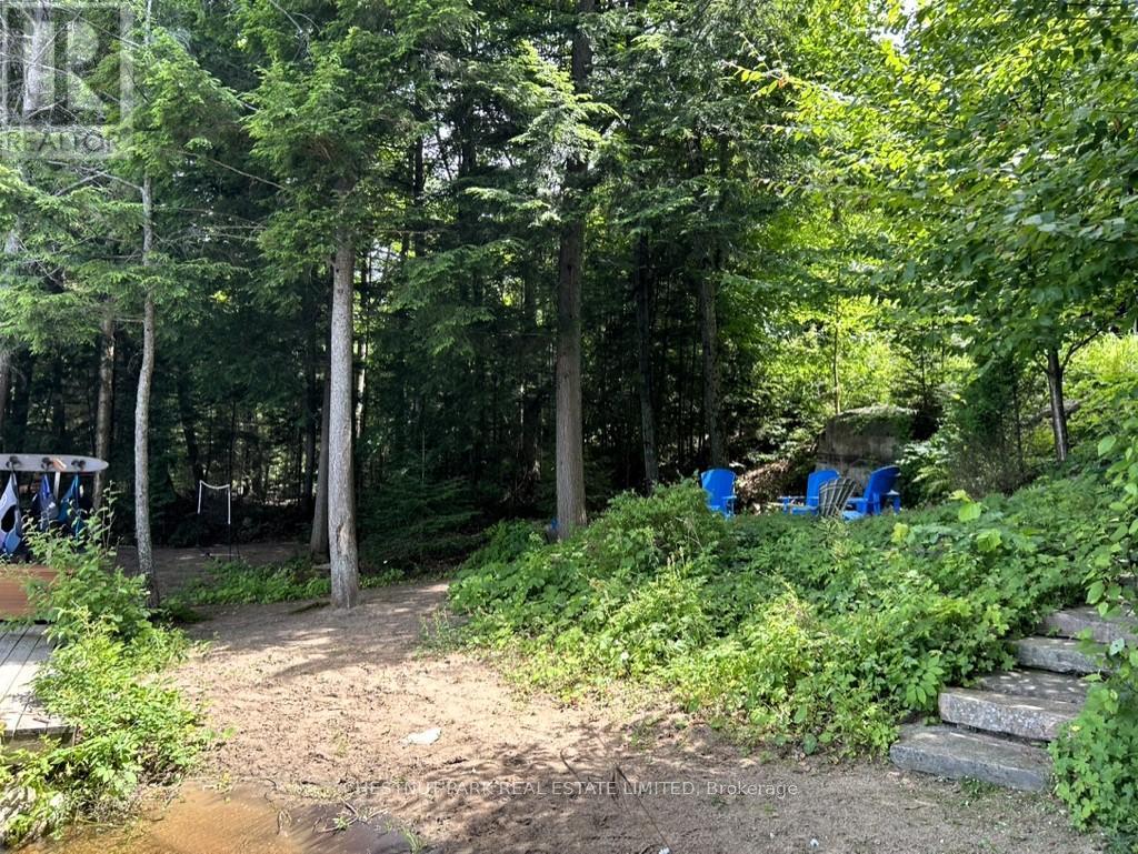 1018 Rattlesnake Road, Dysart Et Al, Ontario  K0M 1S0 - Photo 33 - X13035044