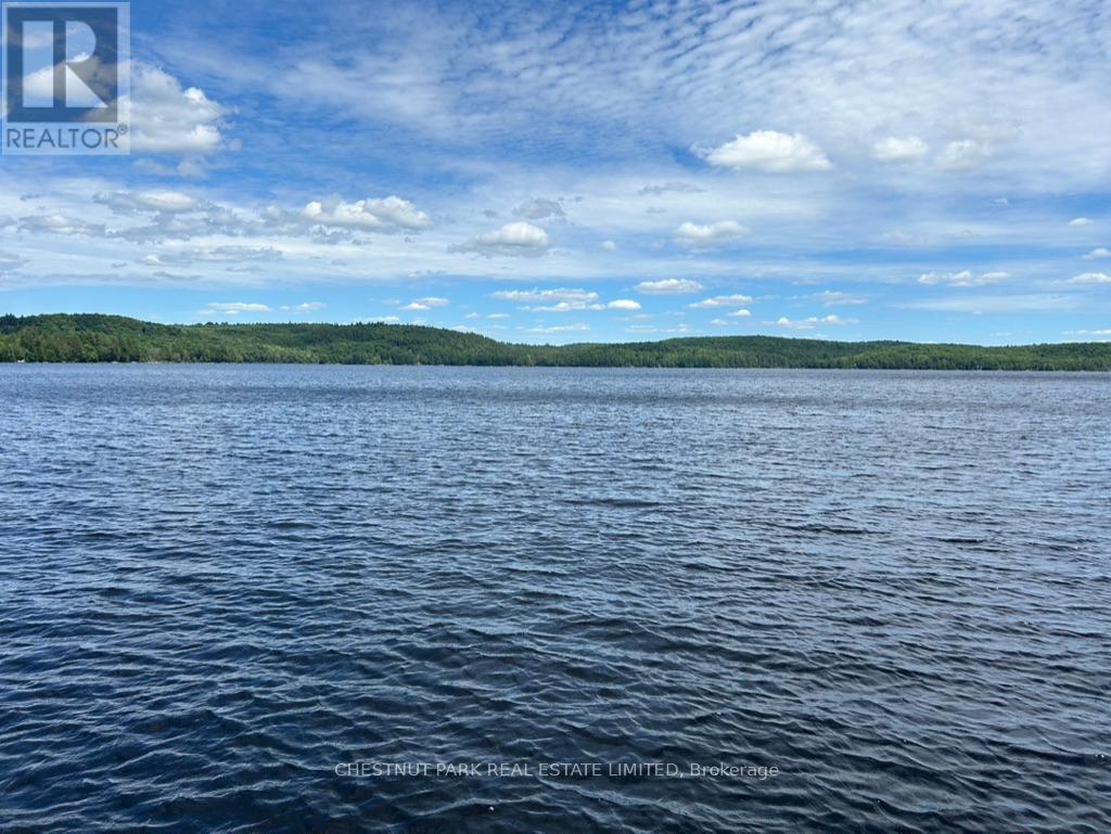 1018 Rattlesnake Road, Dysart Et Al, Ontario  K0M 1S0 - Photo 36 - X13035044