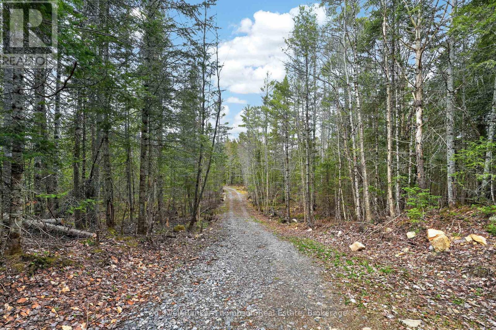 469 Lynx Lake Road, Huntsville, Ontario  P1H 2J3 - Photo 40 - X13139106