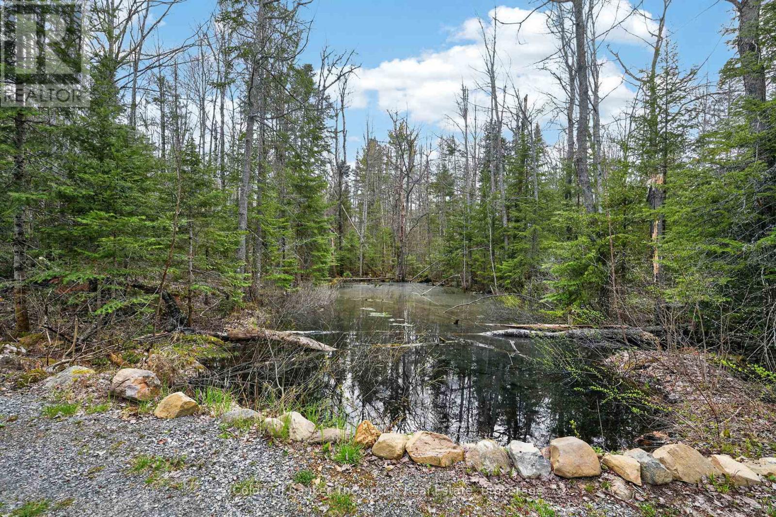 469 Lynx Lake Road, Huntsville, Ontario  P1H 2J3 - Photo 41 - X13139106