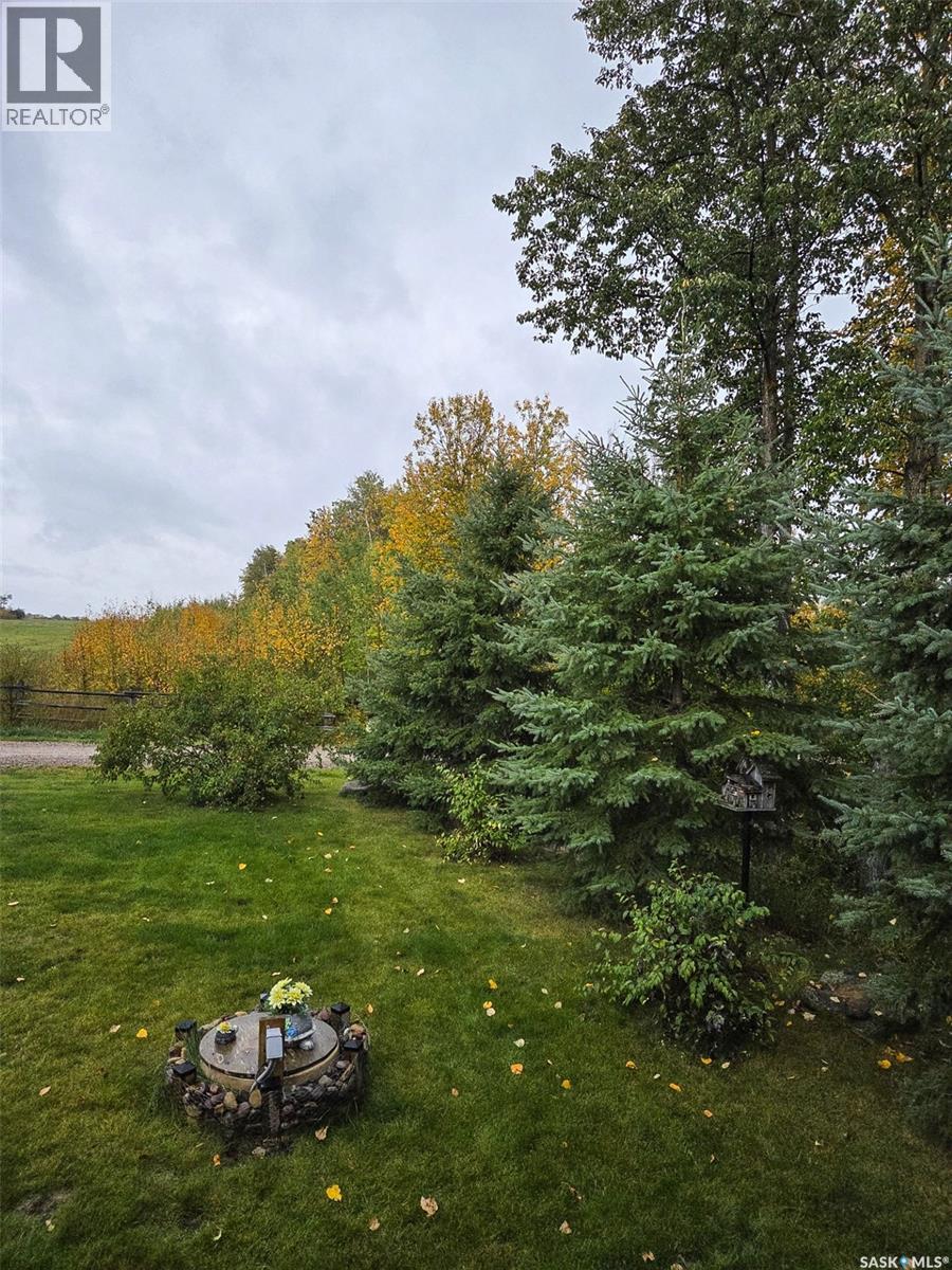 301 Birch Street, Goodsoil, Saskatchewan  S0M 1A0 - Photo 26 - SK032703
