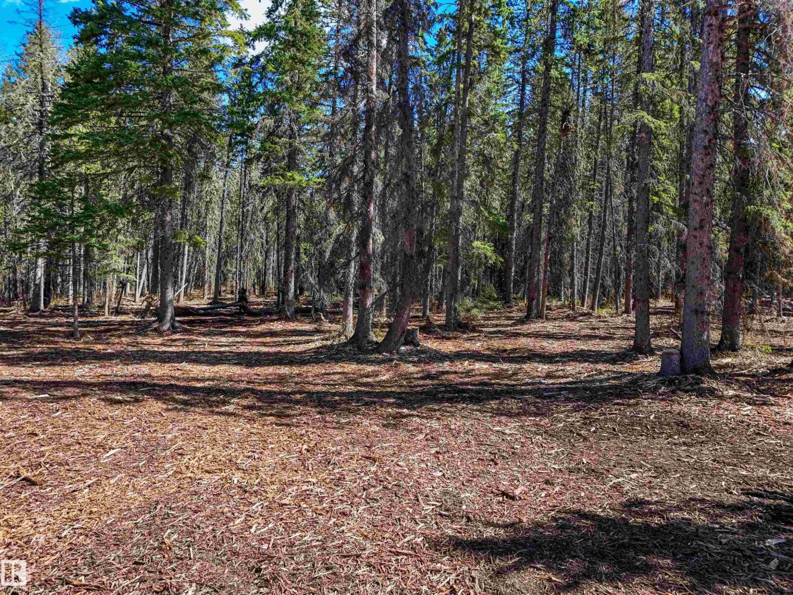 8012 Hwy 620, Rural Brazeau County, Alberta  T0E 1Z0 - Photo 13 - E4488353