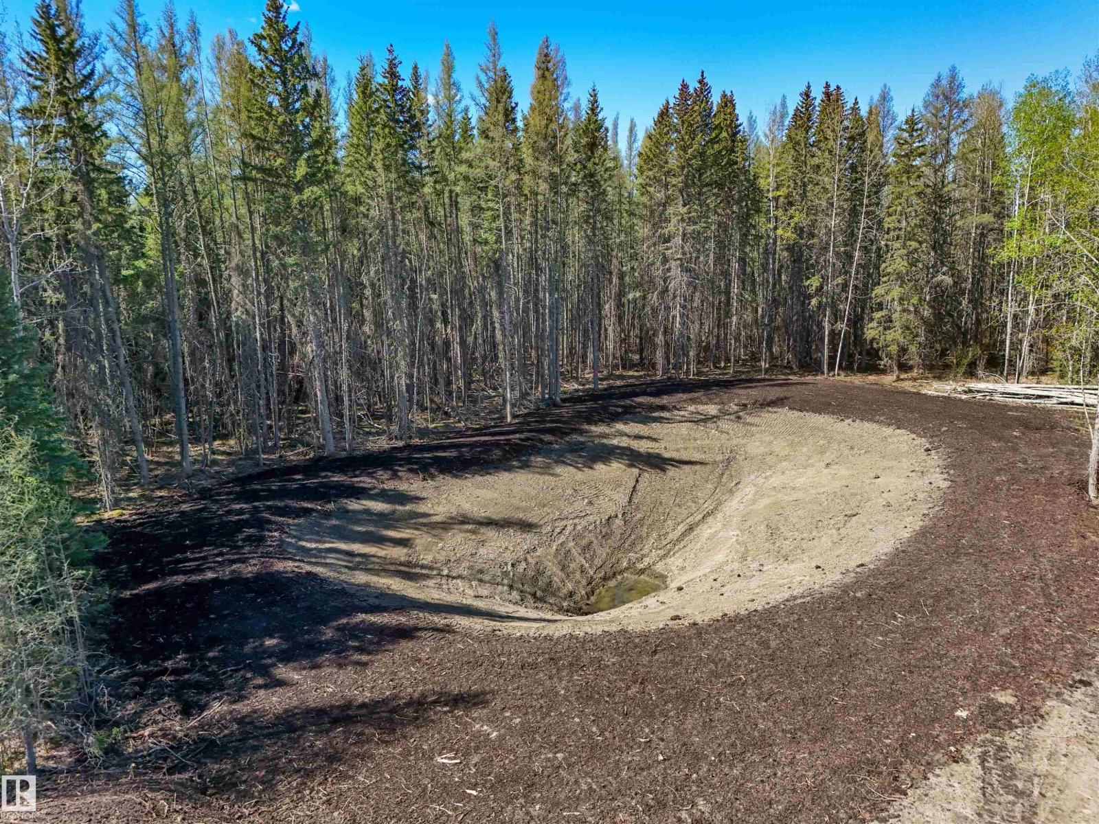 8012 Hwy 620, Rural Brazeau County, Alberta  T0E 1Z0 - Photo 14 - E4488353