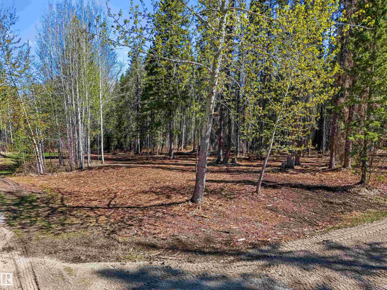 8012 Hwy 620, Rural Brazeau County, Alberta  T0E 1Z0 - Photo 12 - E4488353