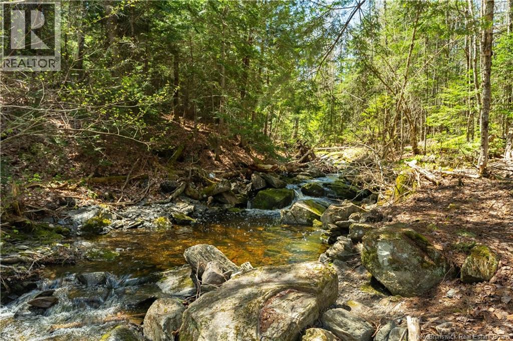 752 Route 127, Rollingdam, New Brunswick  E5A 2V6 - Photo 43 - NB139348