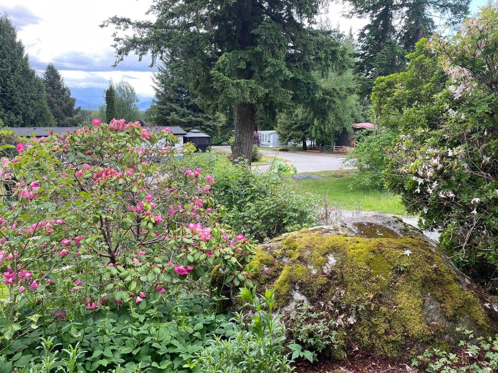 89 43201 Lougheed Highway, Mission, British Columbia  V0M 1G0 - Photo 3 - R3123565