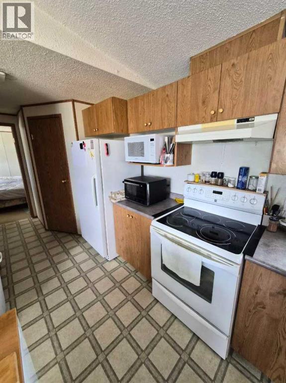 723080 Range Road 101, Beaverlodge, Alberta  T0H 0C0 - Photo 11 - A2310391