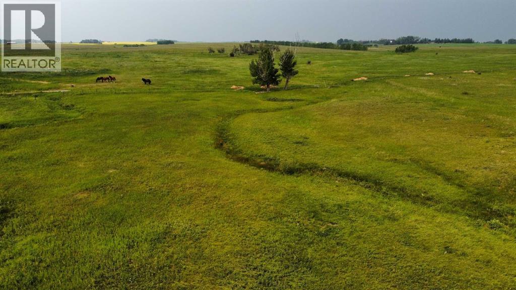 354158 48 Street E, Rural Foothills County, Alberta  T1S 0R3 - Photo 5 - A2310250