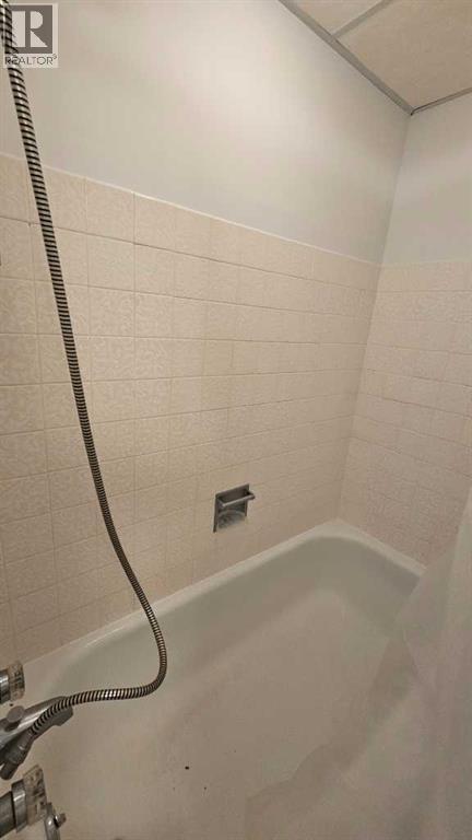 5209 51 Street, Castor, Alberta  T0C 0X0 - Photo 37 - A2311658