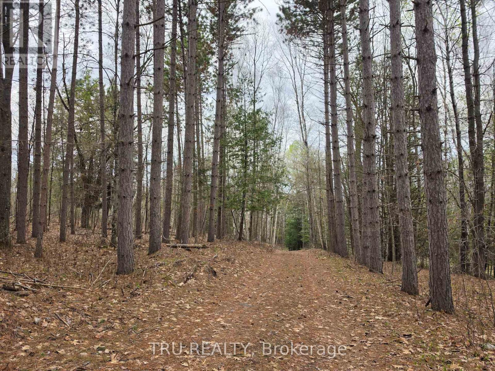 952 Siberia Road, Madawaska Valley, Ontario  K0J 1B0 - Photo 30 - X13139360