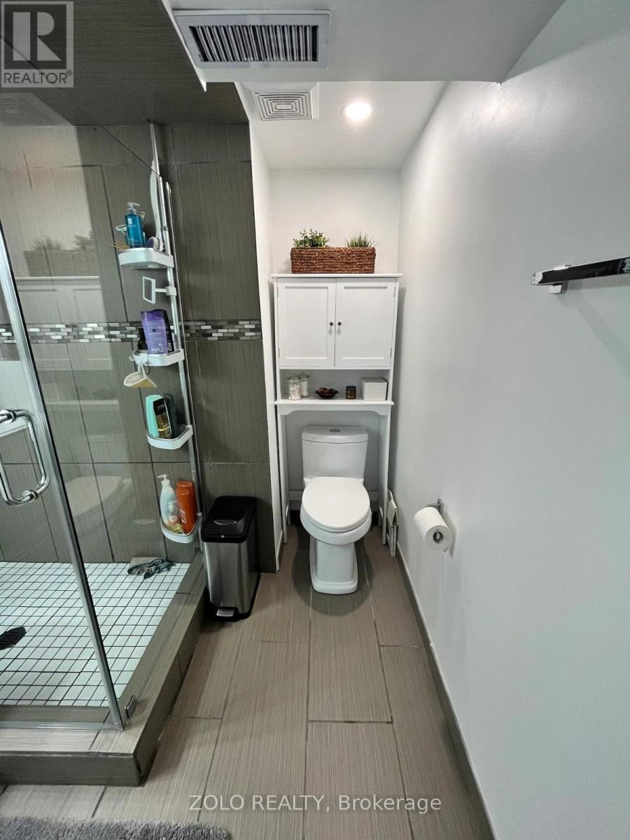 Basement - 59 Falkirk Drive, Hamilton, Ontario  L9B 1S3 - Photo 14 - X13139464
