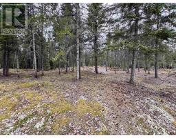 1,2,4,5 Bennett Drive /McManus ST, Balmertown, Ontario