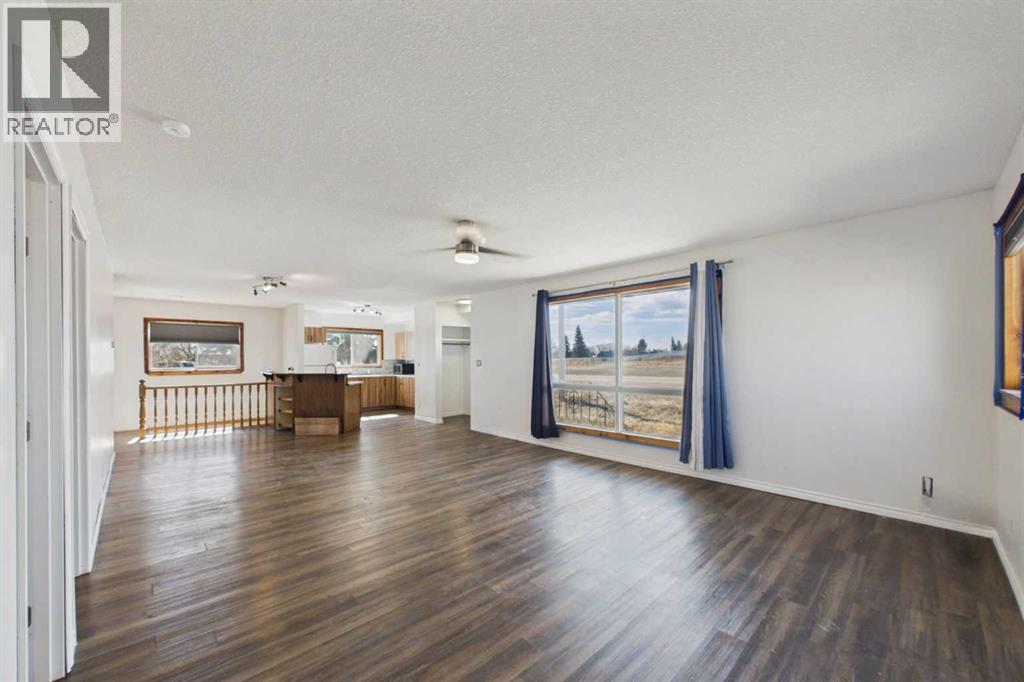 4712 51 Avenue, Alix, Alberta  T0C 0B0 - Photo 6 - A2309841