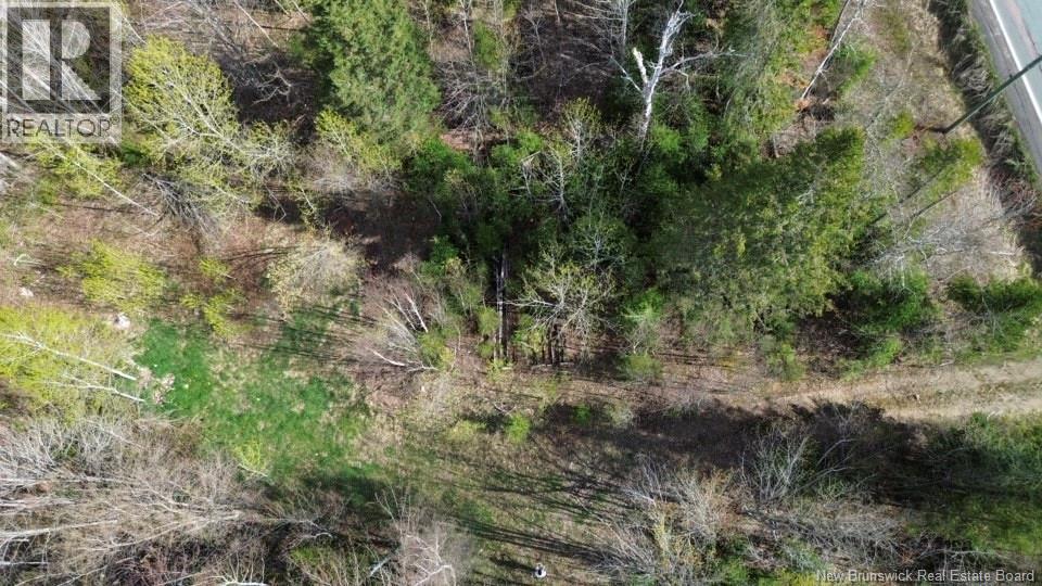 Lot Route 126, Harcourt, New Brunswick  E4T 2Z5 - Photo 1 - NB139407