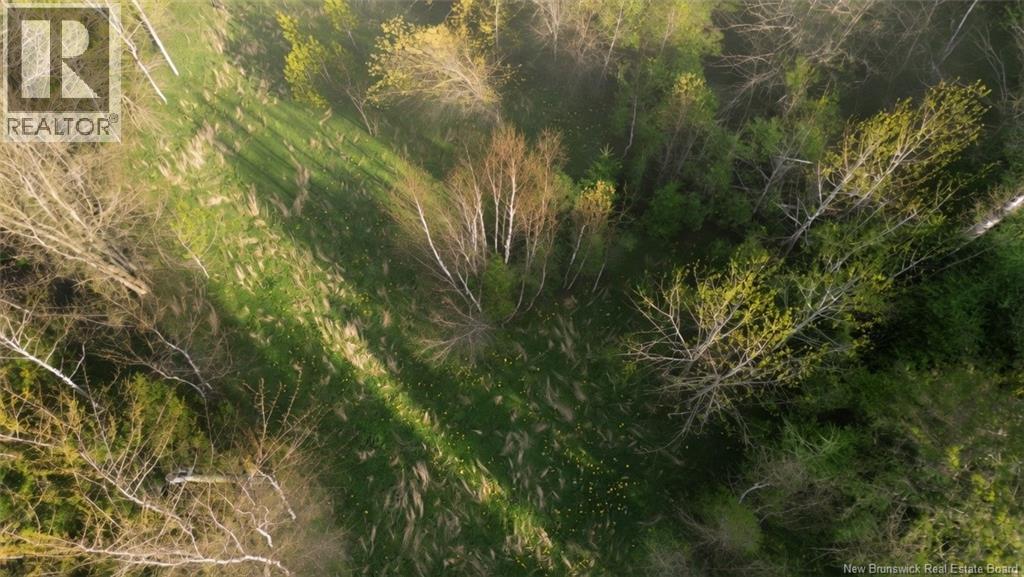Lot Route 126, Harcourt, New Brunswick  E4T 2Z5 - Photo 5 - NB139407