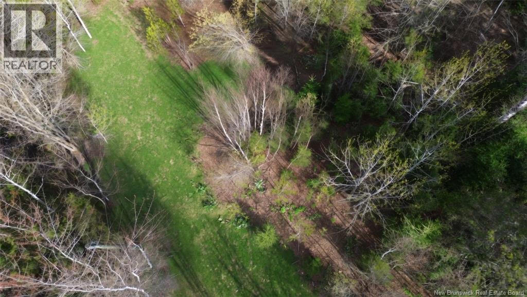Lot Route 126, Harcourt, New Brunswick  E4T 2Z5 - Photo 3 - NB139407