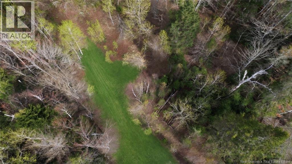 Lot Route 126, Harcourt, New Brunswick  E4T 2Z5 - Photo 4 - NB139407