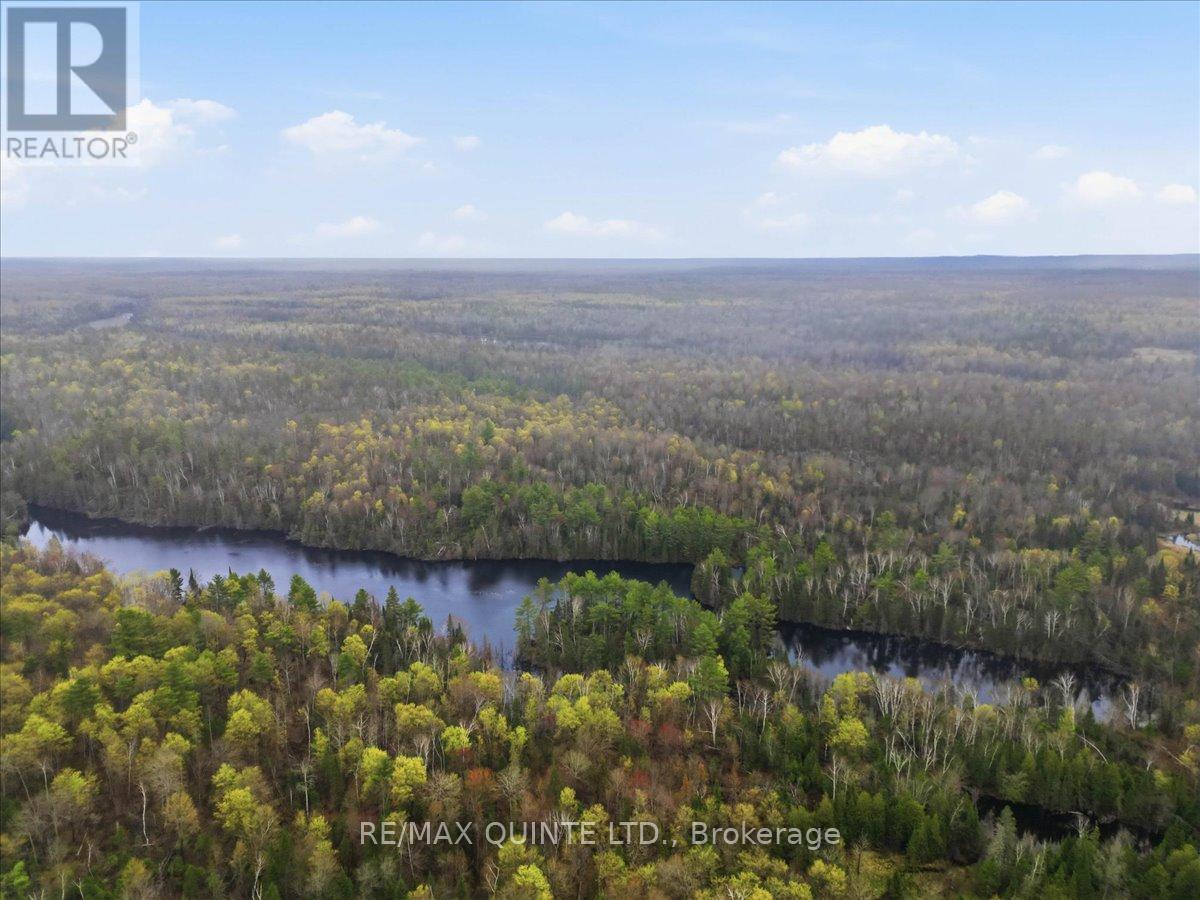 260 Pine Vw Ridge Road, Tudor & Cashel, Ontario  K0K 1Y0 - Photo 10 - X13099696